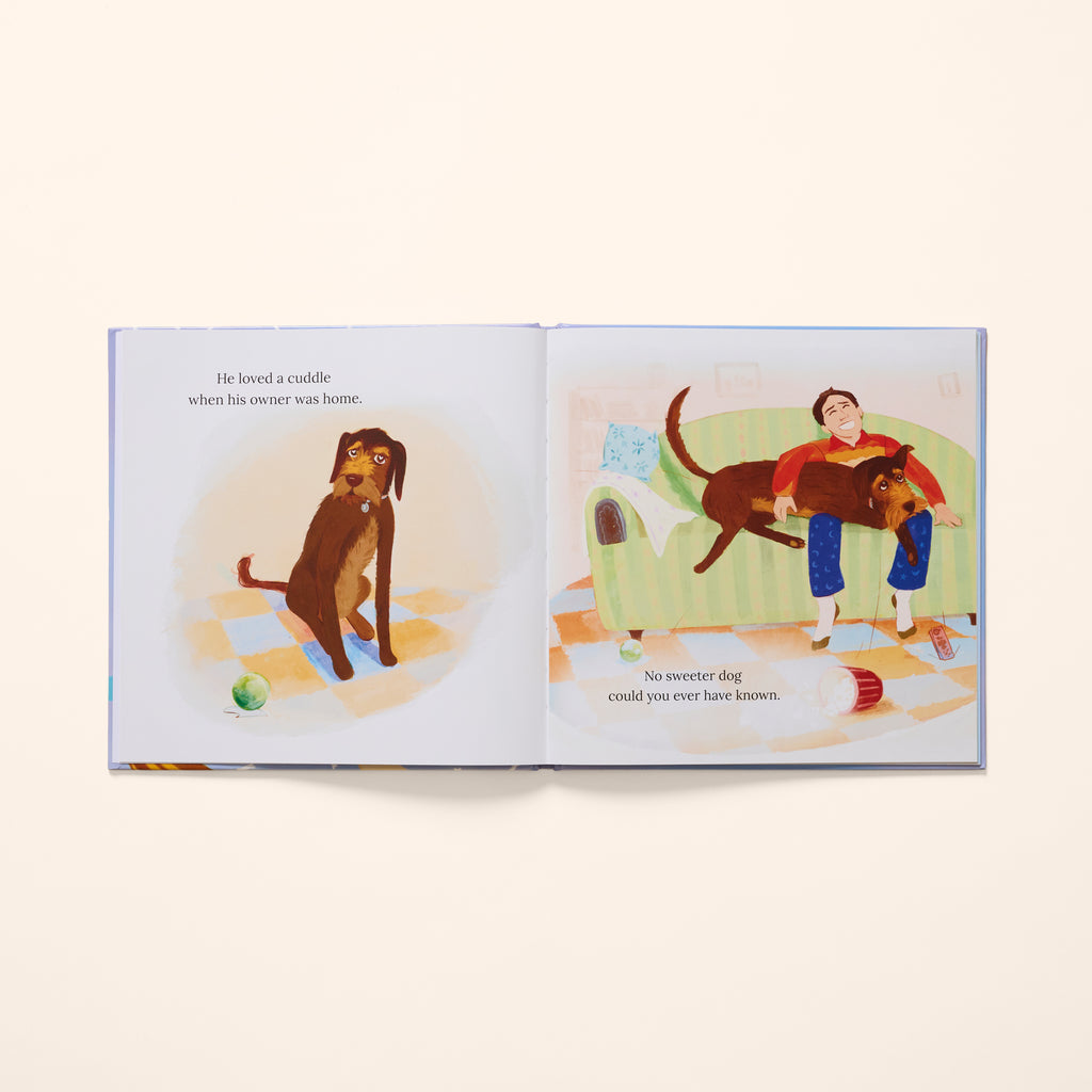 Storytime Set